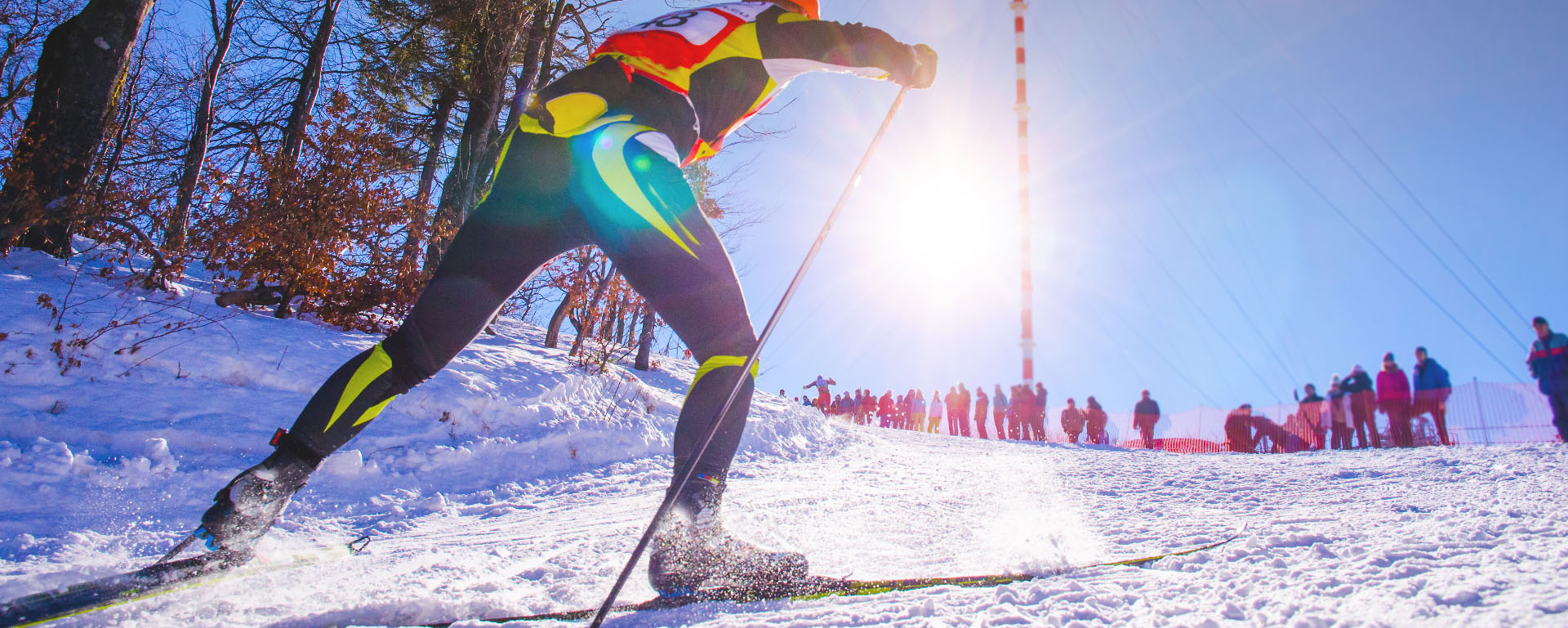 FIS Pasaules kauss kalnu slēpošanā Zēldenā