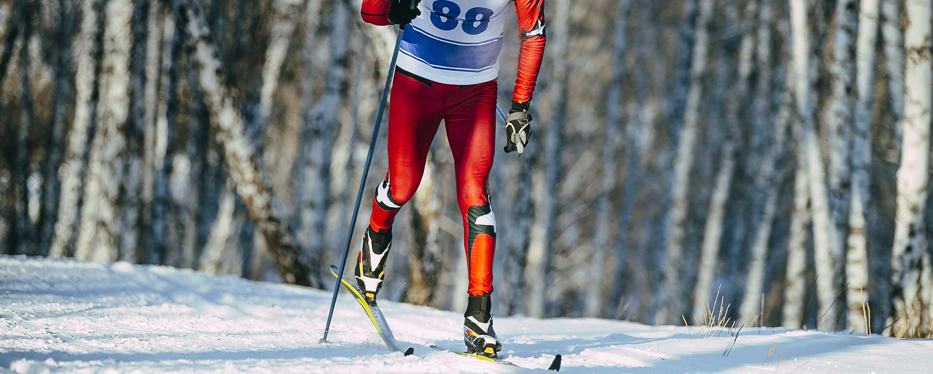 FIS pasaules kauss kalnu slēpošanā 2022./2023. gadā