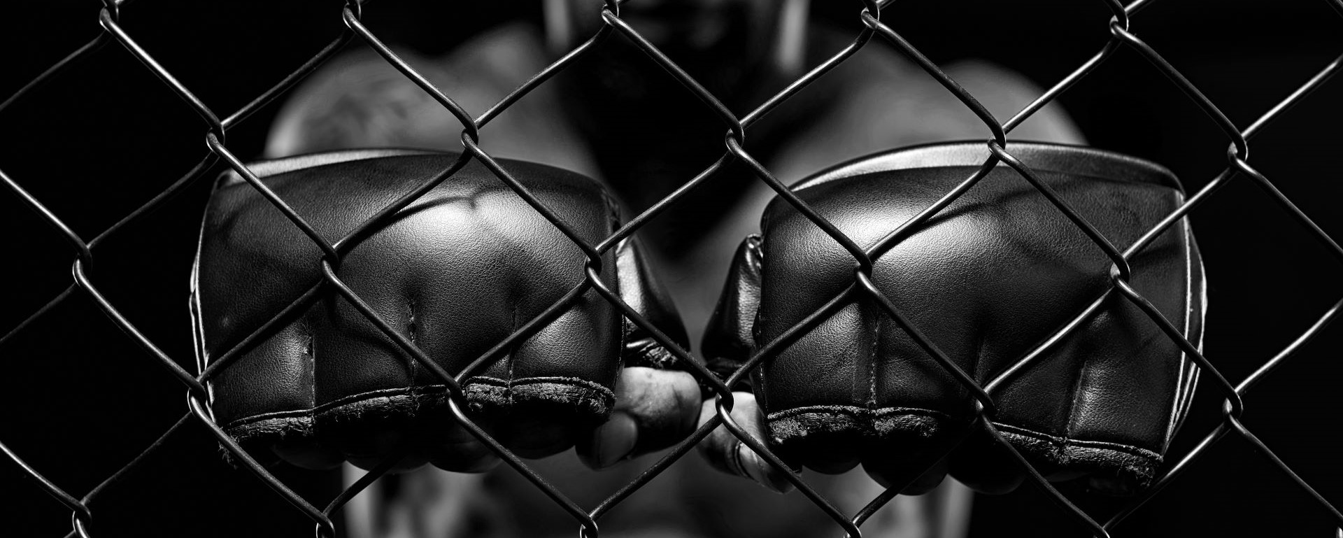 UFC cīņas vakars: Dariušs pret Carukjans