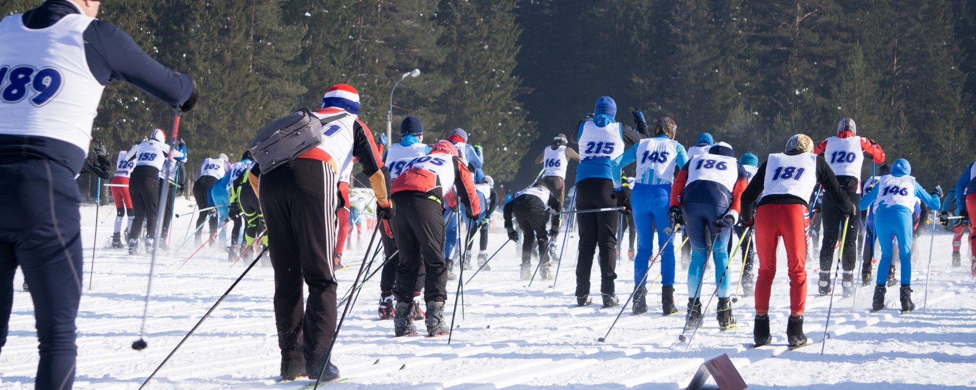 Pasaules kauss distanču slēpošanā 2023/24.gada sezonā